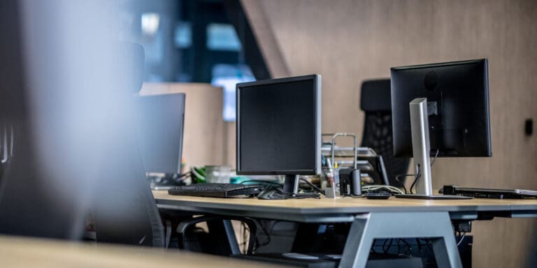 Business Systems Leadership for Trade Companies